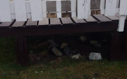 LA MUNICIPALIDAD DE USHUAIA REPUDIÓ LOS HECHOS VANDÁLICOS EN PENSAR MALVINAS