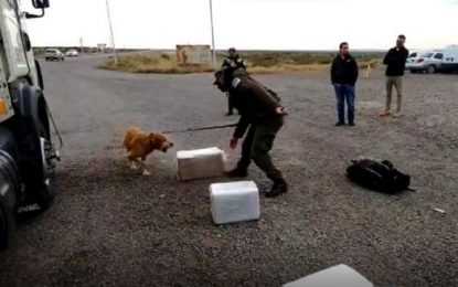FRENAN UN IMPORTANTE CARGAMENTO DE DROGAS CON DESTINO A TIERRA DEL FUEGO