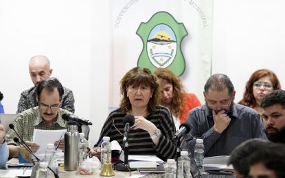 CONVENCIÓN CONSTITUYENTE, EL VOTO DE LA PRESIDENCIA PARA DESEMPATAR ACAPARÓ EL DEBATE