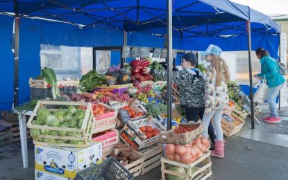 LA PROVINCIA RECIBIÓ INSUMOS PARA LA REALIZACIÓN DE FERIAS ITINERANTES