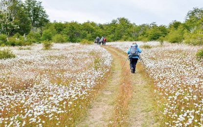 PREVIAJE 3:  PROYECTAN QUE TIERRA DEL FUEGO RECIBIRÁ MÁS DE 40 MIL TURISTAS DURANTE OCTUBRE Y NOVIEMBRE