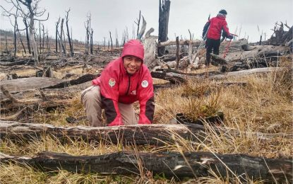 RESTAURACIÓN DE BOSQUE NATIVO: SE PREVÉ PLANTAR MÁS DE 13.600 PLANTAS Y ALCANZAR UN TOTAL DE 140000 M2