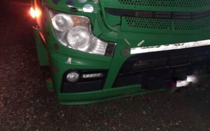 Camión colisionó a un equino sobre la Ruta 3 a la altura de la Mosca Loca