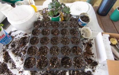 LA MUNICIPALIDAD DE USHUAIA PROMUEVE LA HUERTA AGROECOLÓGICA COMUNITARIA