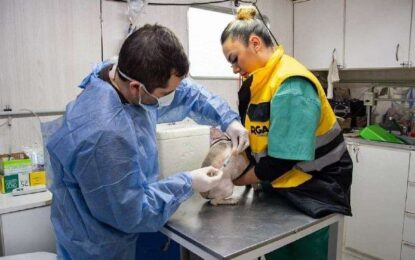 RÍO GRANDE, SE VIENEN 2 JORNADAS DE VACUNACIÓN ANTIRRÁBICA, CHIPEO Y CASTRACIÓN