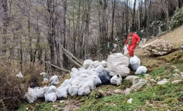 Trabajan en la limpieza de un sector aledaño al relleno sanitario de Ushuaia