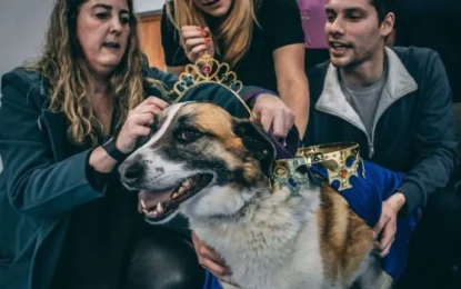 “Este concurso es atractivo para seguir difundiendo el cuidado responsable y el bienestar animal”